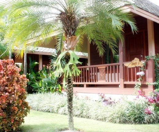 Pai Herbs Resort Rom bilde